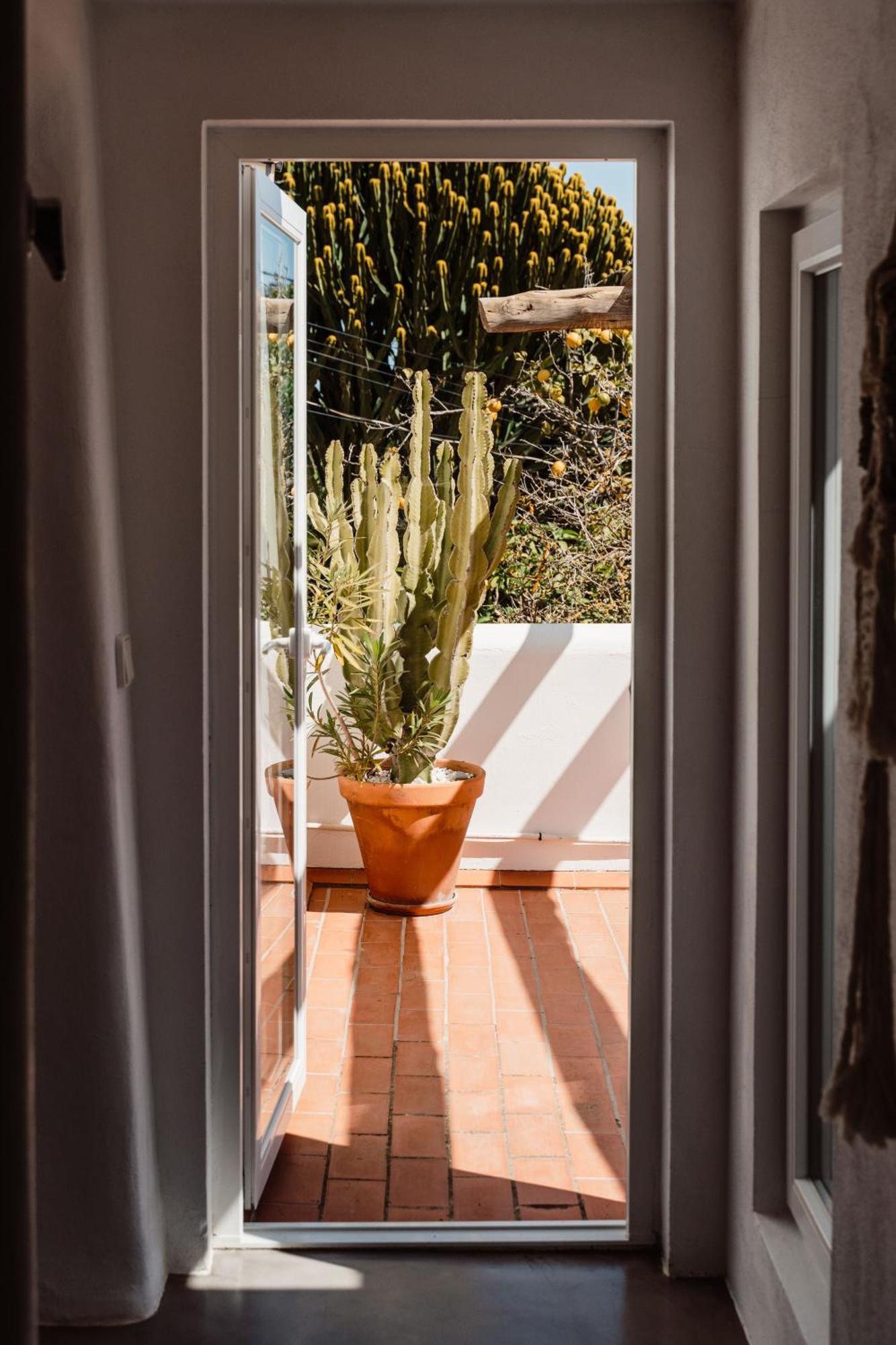 Valley Club Ibiza - Boutique Agroturismo Sant Joan De Labritja Cameră foto
