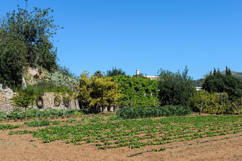 Valley Club Ibiza - Boutique Agroturismo Sant Joan De Labritja Exterior foto